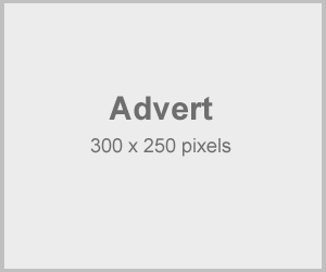 ad-300x250